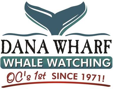 Dana Wharf Whale Watching