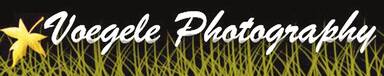 Voegele Photography Studio